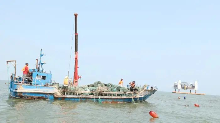 无棣县贝类养殖产业每年可实现8亿元的产值